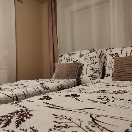Apartman Fonyod 펜션